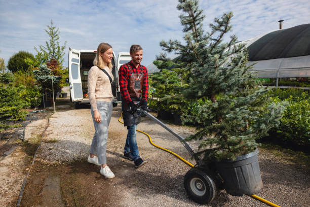 Best Palm Tree Trimming  in Dresden, TN